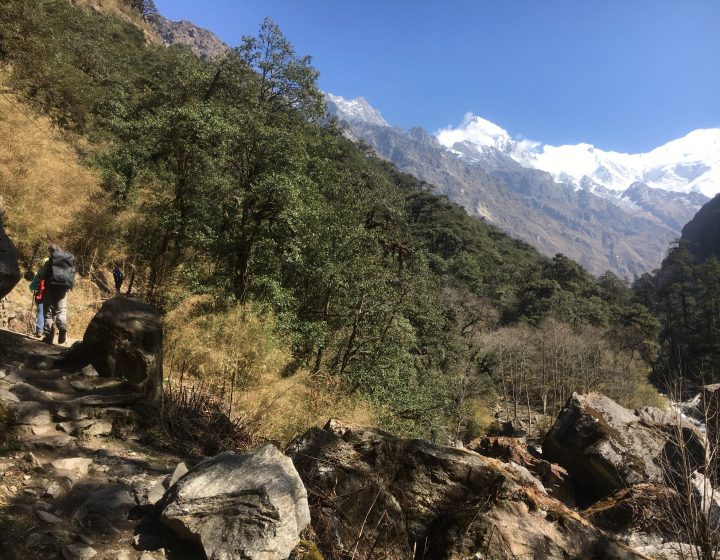 Langtang Region